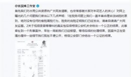 某男艺人爆料新闻事件,揭秘幕后黑幕与利益纠葛