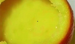 网红吃蜜瓜棒棒糖视频,甜蜜滋味引发网友热议